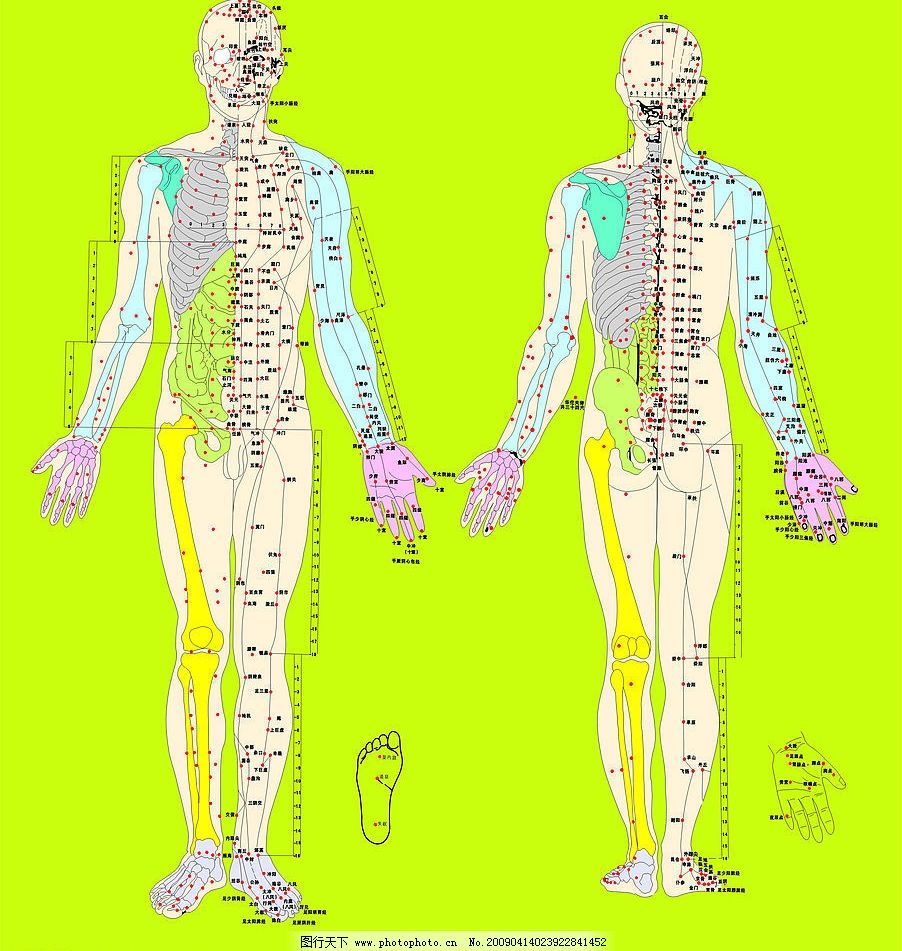 cdr人体|cdr格式人体脚步素图片