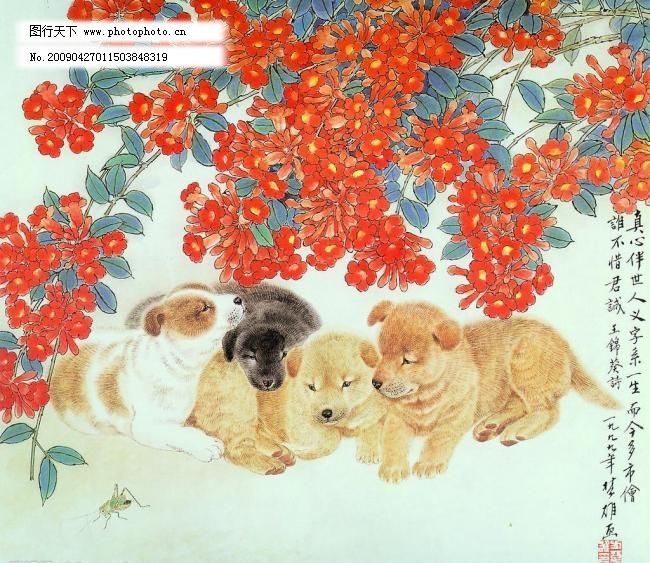 宠物狗图片,宠物狗图片免费下载 背景 风景 花鸟