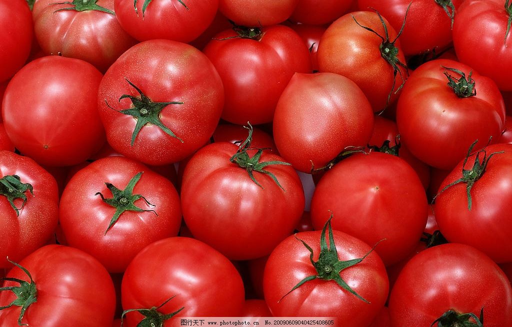 孕妇梦见一摘吃西红柿好吗?解读孕期梦境中的寓意与心理暗示 孕妇梦见一摘吃西红柿好吗?解读孕期梦境中的寓意与心理暗示