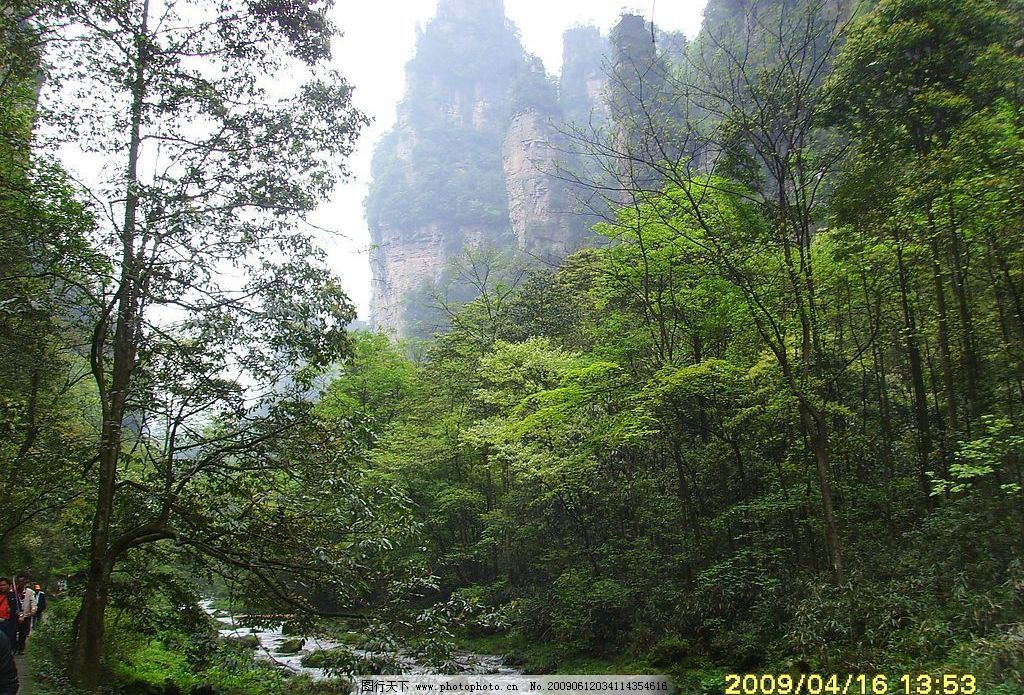 天子山 大山 绿树成阴 小溪 绿草 旅游摄影 自然风景 摄影图库