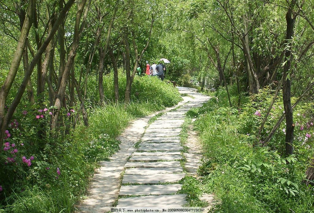 林中小路,树林,人,人群,石板路,人物图库,职业人物